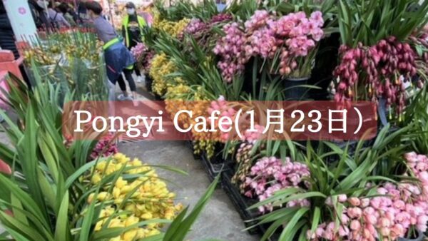 【Jan. 23 Pongyi Cafe】We updated our blog ！