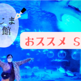 【ポンギーおススメSpot！】　のとじま水族館